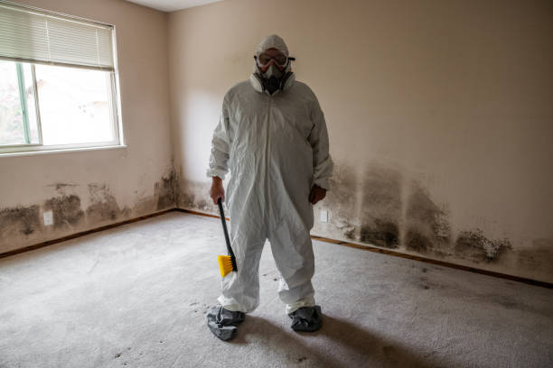 Asbestos and Lead Testing During Mold Inspection in South Valley Stream, NY