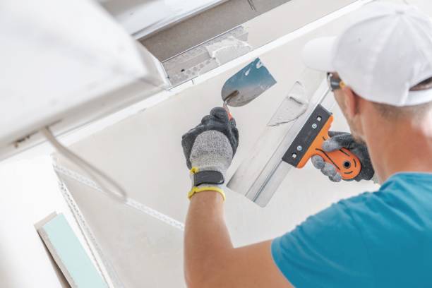 Professional Mold Removal in South Valley Stream, NY